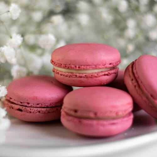 Strawberries and Cream macaroon