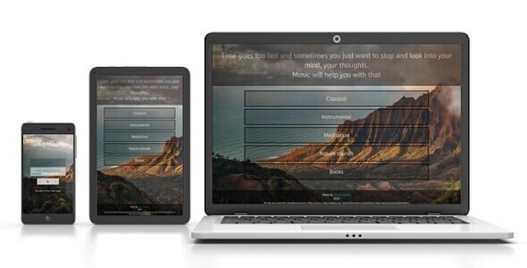 Adaptive display of the site
