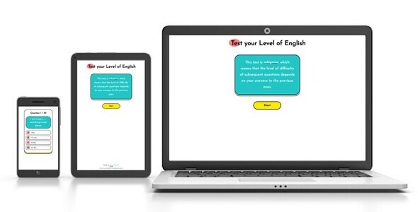 Adaptive display of the site